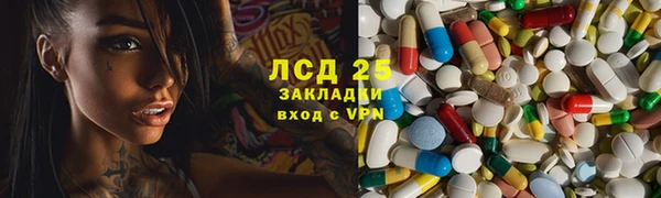 стафф Новодвинск