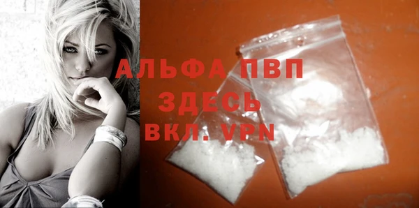 стафф Новодвинск