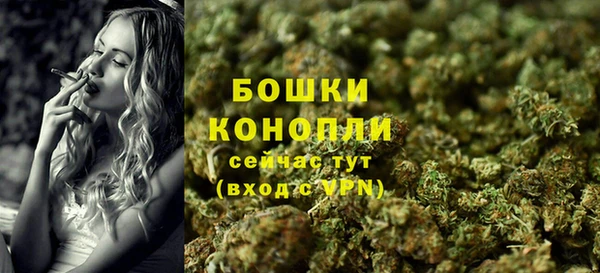 стафф Новодвинск