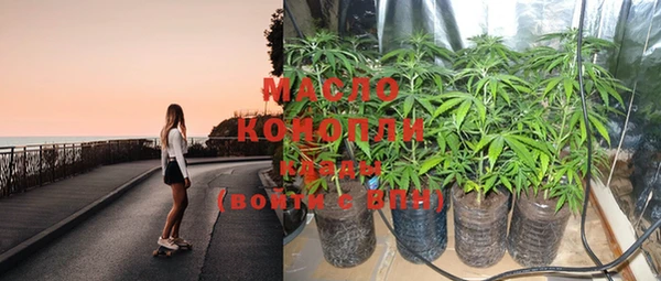 стафф Новодвинск